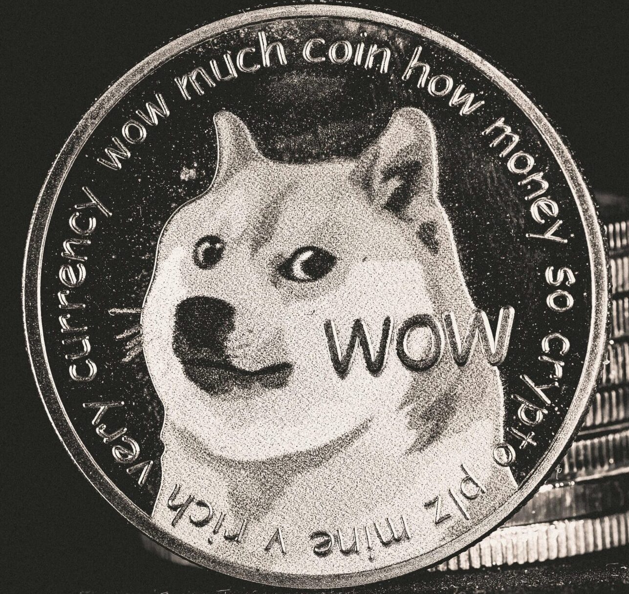 A detailed grayscale image of a Dogecoin, highlighting its iconic design and cryptocurrency appeal.